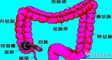 ֱҪЩ