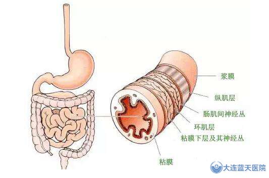 慢性肠炎的检查